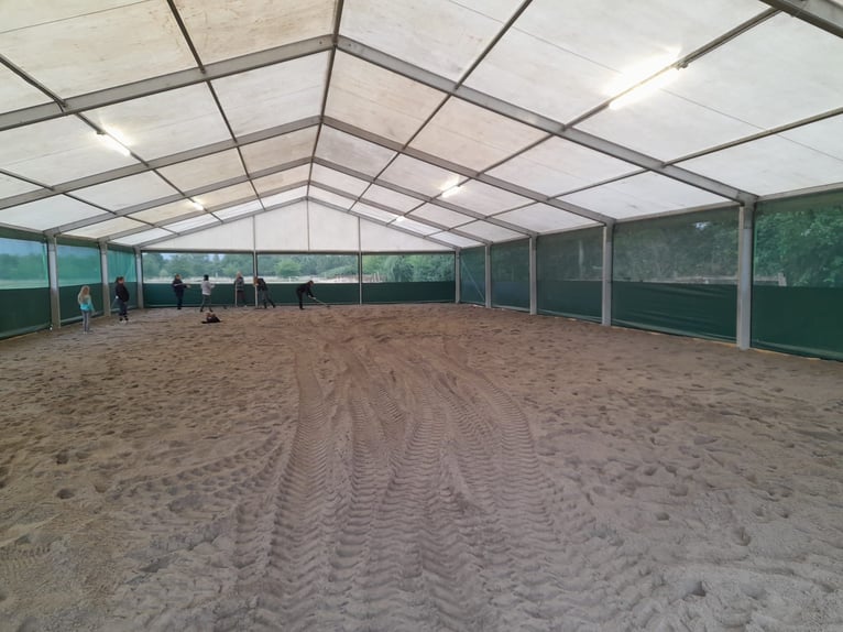 Four stable places available