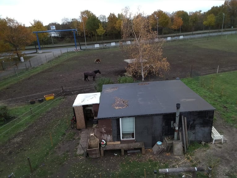 Four stable places available