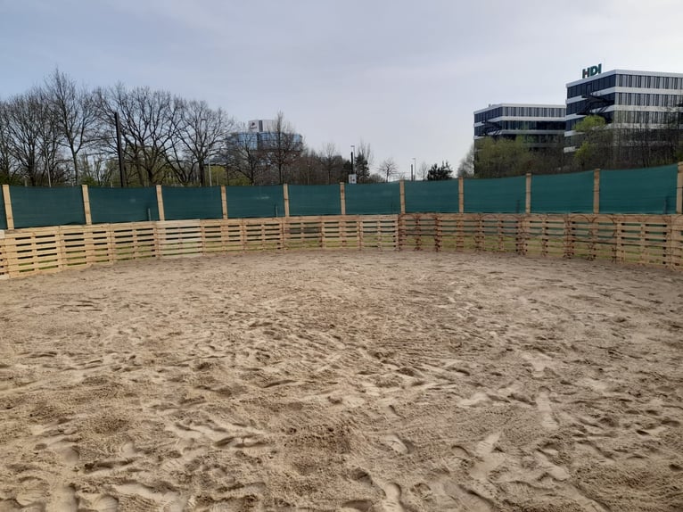 Four stable places available