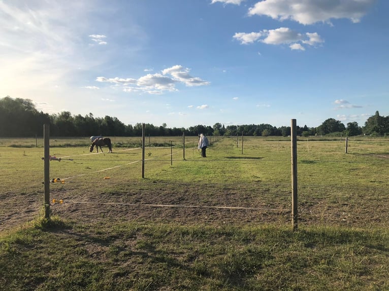 Four stable places available