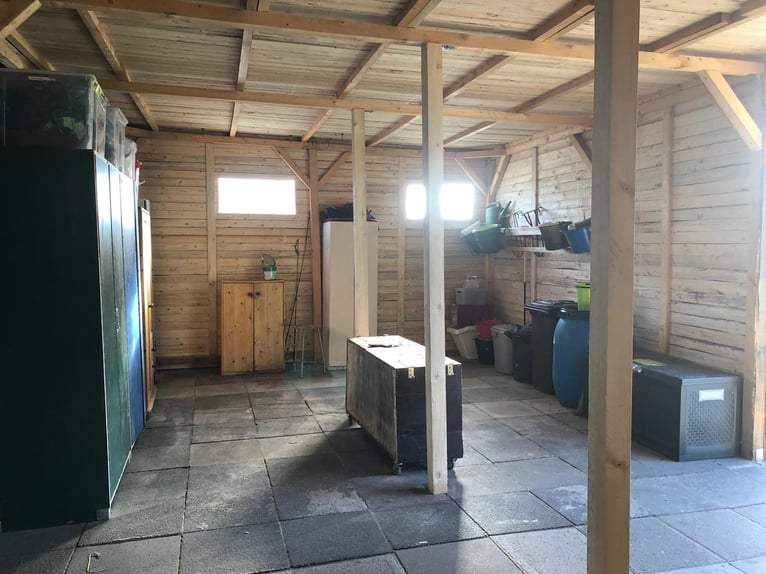 Four stable places available