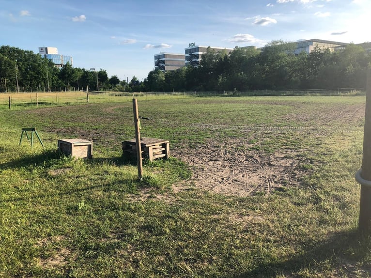 Four stable places available