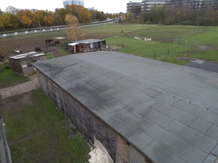 Four stable places available