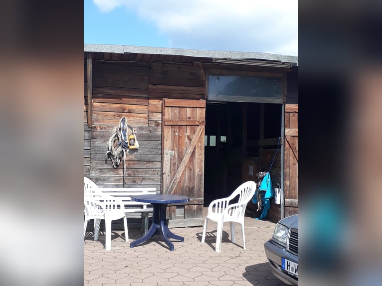 Four stable places available