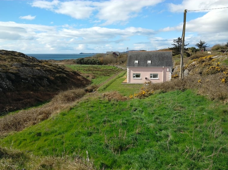 Irland - Westcork - Weideland auf Farm zu vermieten  am Atlantic - SEA View