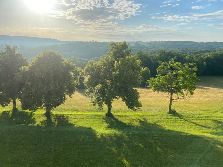 Pasture: The perfect age paradise for your horse in Dordogne