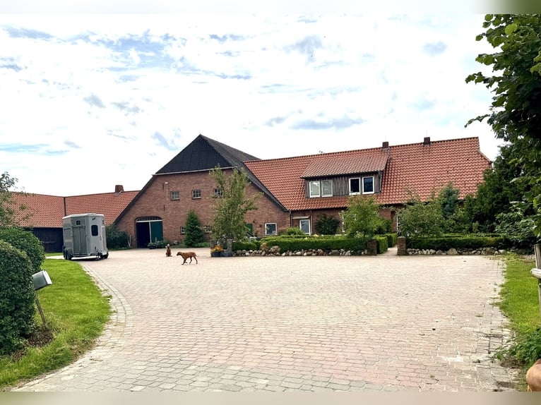 Available stabling at Braaklander Hof near Neerstedt!