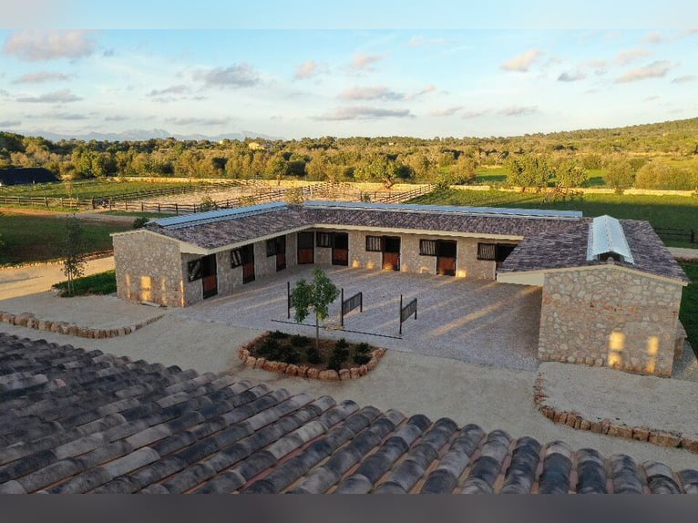 Available stabling at VMG Horse Ranch