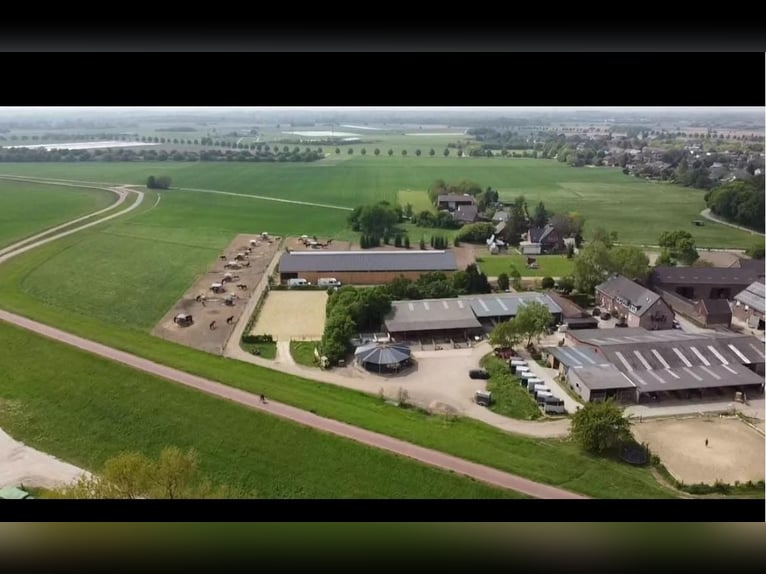 Available stalls in a beautifully situated stable in Meerbusch-Nierst
