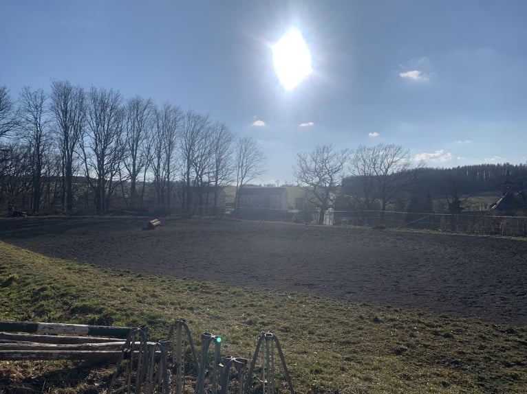 Available stalls in an idyllic stable community