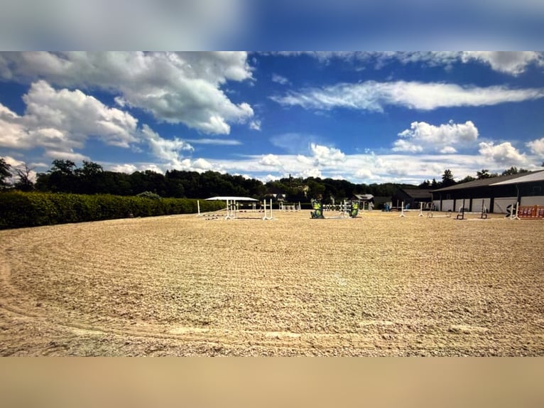 Beautiful stable near Lake Ammersee