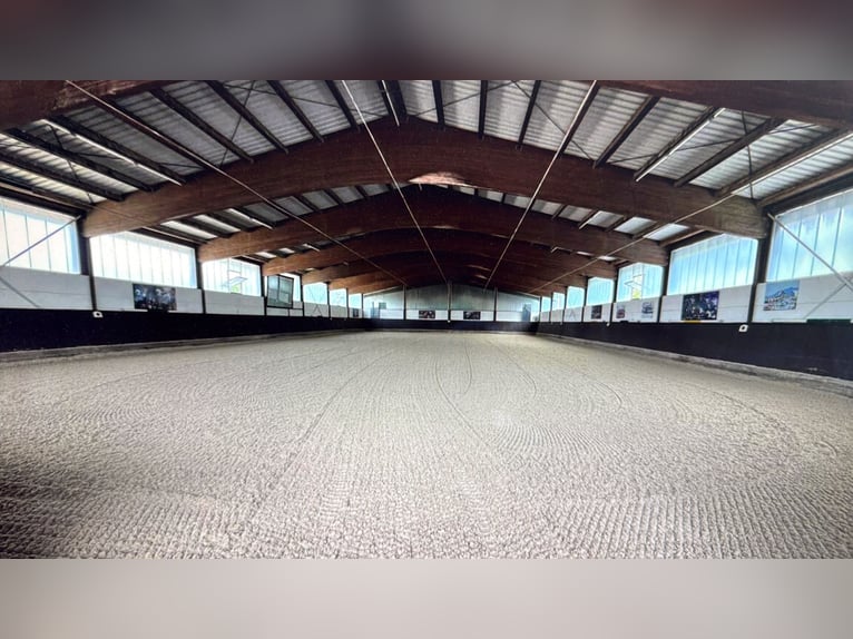 Beautiful stable near Lake Ammersee