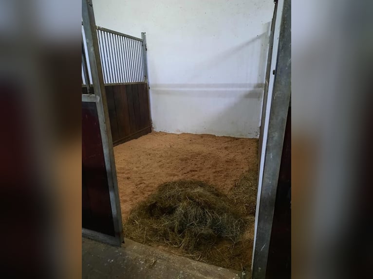 Stable block for lease