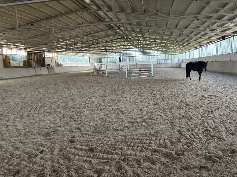 Stable block for lease