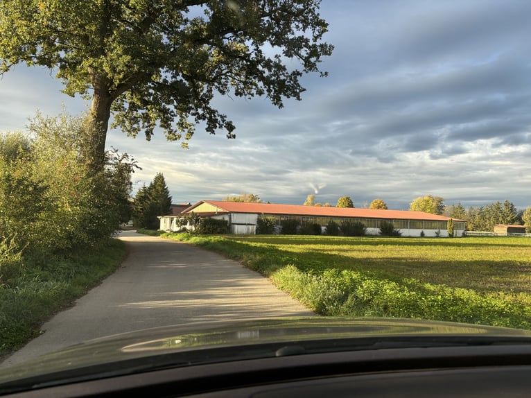 Stable block for lease
