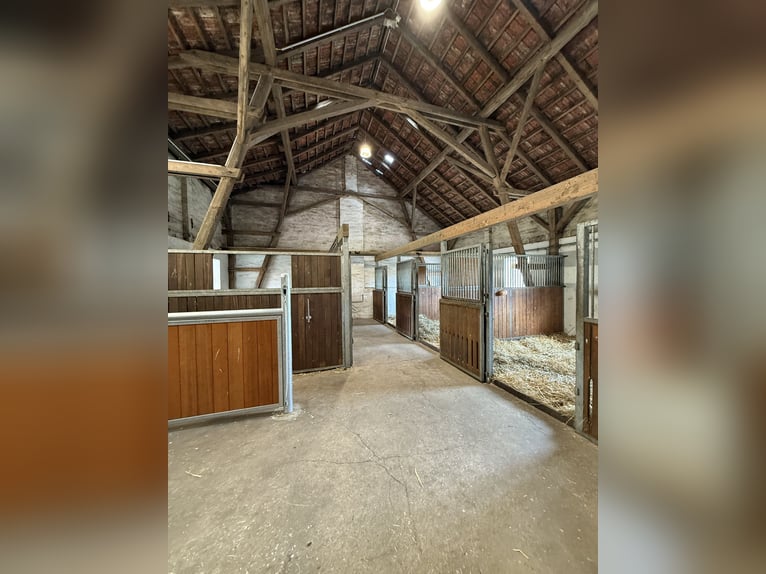 Box in privatem Stall bei Verden, Vollpension