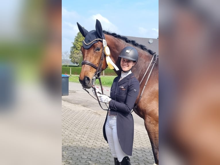 Breaking-in / Riding / Training / Marketing