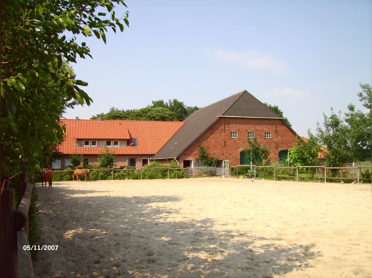  Freie Pferdeboxen auf dem Braaklander Hof bei Neerstedt! 