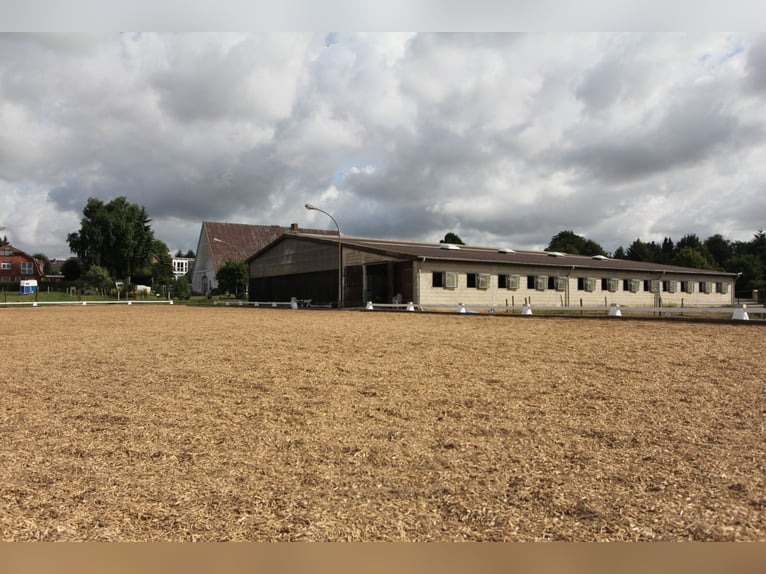 gr.Boxen sowie Stalltrakt frei