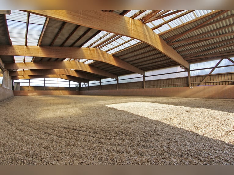 gr.Boxen sowie Stalltrakt frei