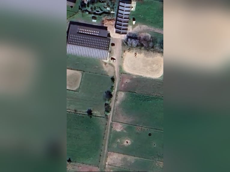 Horse boarding & training facility near Niebüll / North Sea – Full board available