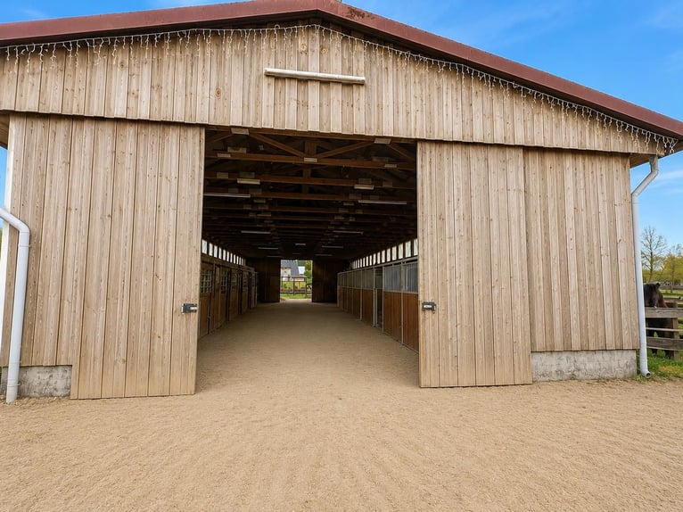Idyllic stable track available for rent, featuring 8 boxes, outdoor paddocks, and a walk-in stable (