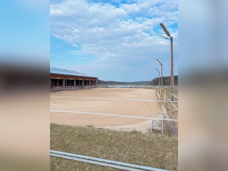 Outdoor box and indoor boxes available, with daily turnout.