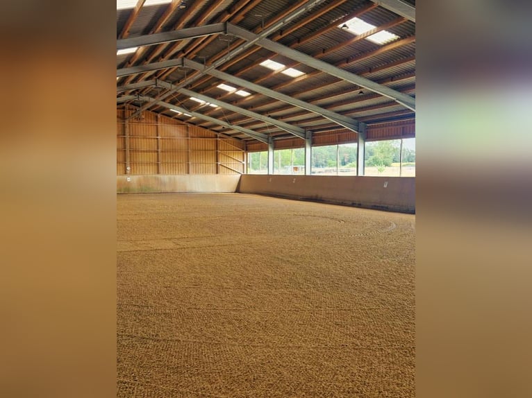 Outdoor box and indoor boxes available, with daily turnout.