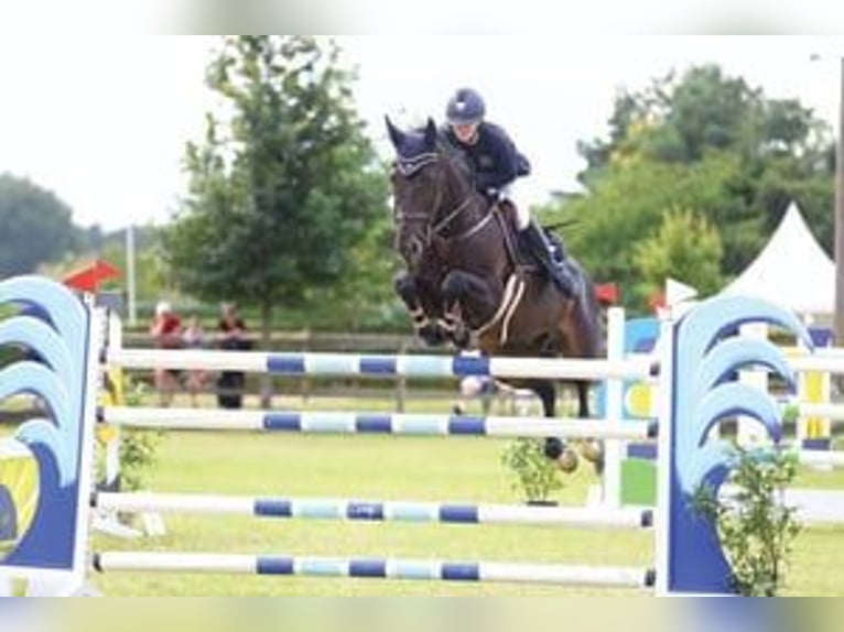 Riding Facility Berlin North-East | Stalls Available