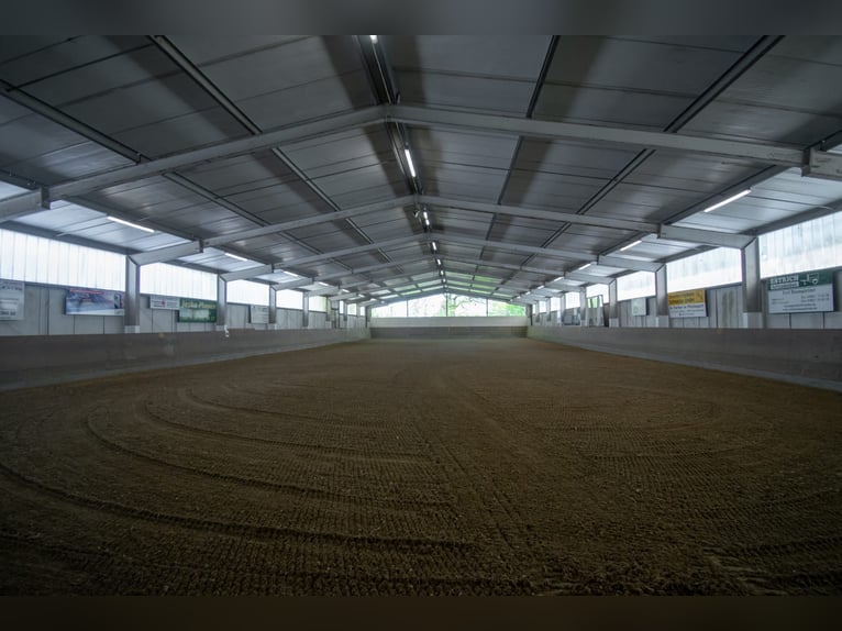 Stable available!