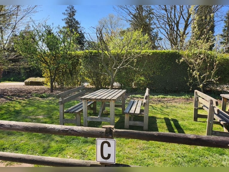 Stall corridor suitable for 4, 5, 10, or 14 horses for self-catering riders