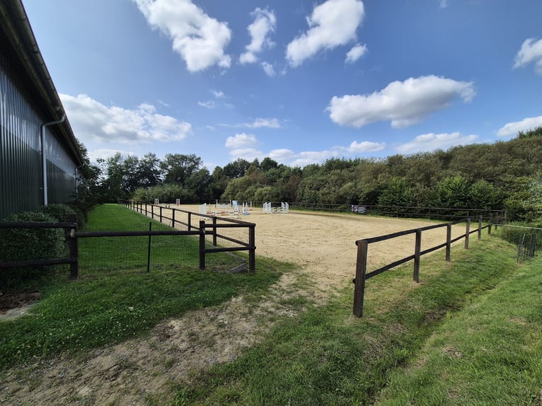 Stalls available (>16 sqm) with full board or self-catering options