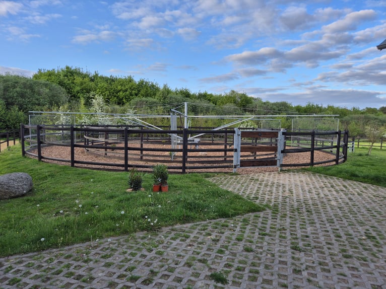Stalls available (>16 sqm) with full board or self-catering options