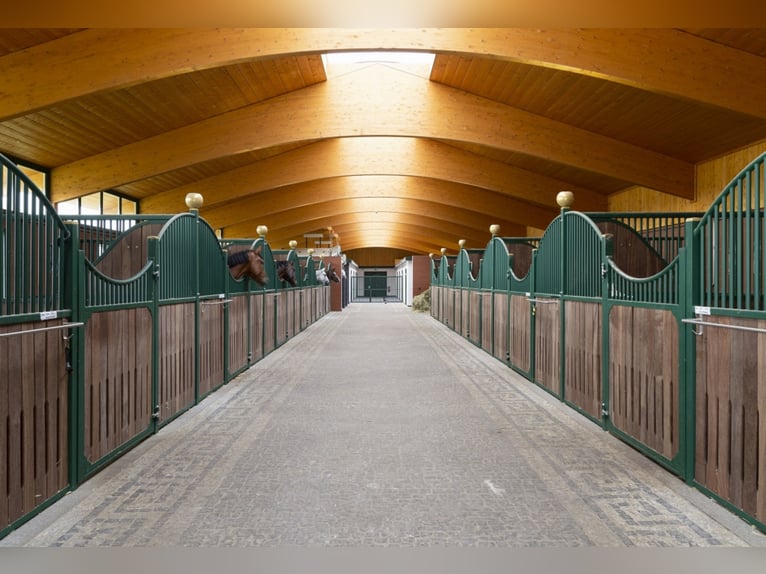 Stalls available at a top facility in Mecklenburg – brand new construction!