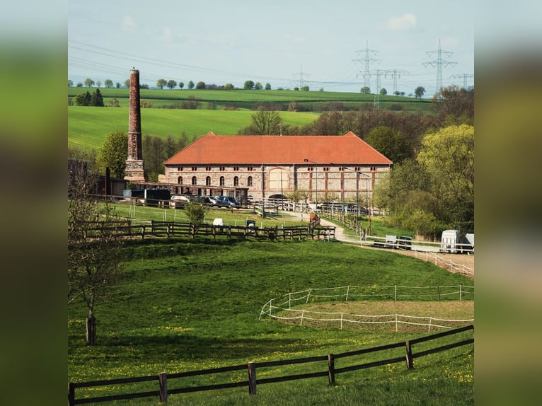 Stalls available – excellent hacking terrain and numerous training opportunities