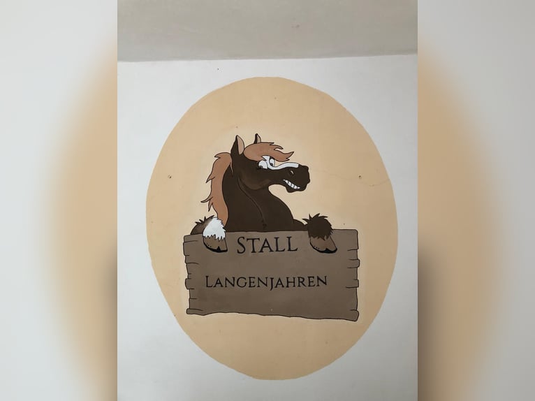 🔥 THE PLACE WHERE YOUR HORSE CAN FIND PEACE – NOT JUST A SHELTER. 🔥