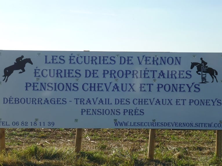 Vernon Stables