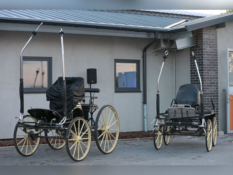 Dream job available in a private retired horse stable!