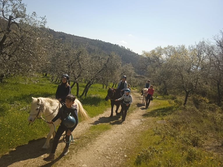 International experience in Tuscany