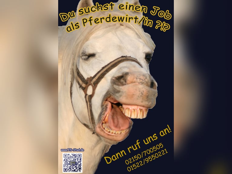 Job Opening – Equine Specialist (preferably specializing in Breeding) Wanted!!!