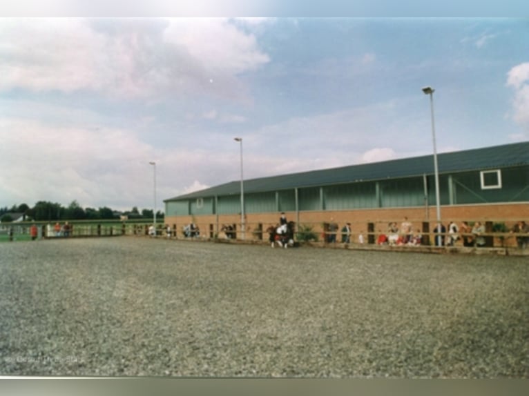 Job Opening – Equine Specialist (preferably specializing in Breeding) Wanted!!!