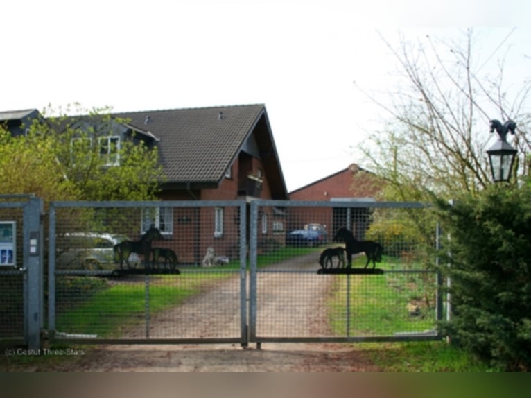 Job Opening – Equine Specialist (preferably specializing in Breeding) Wanted!!!