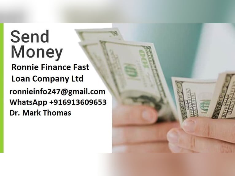 Leading online only with direct lenders