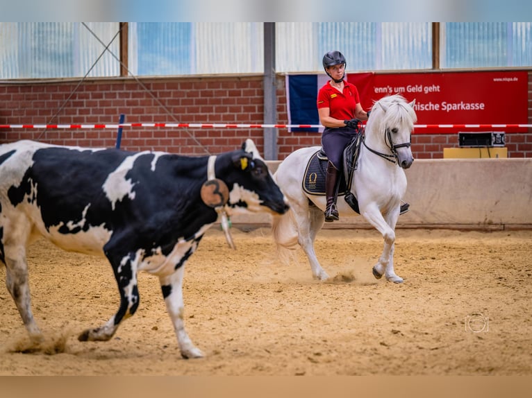 Seeking a tactful rider