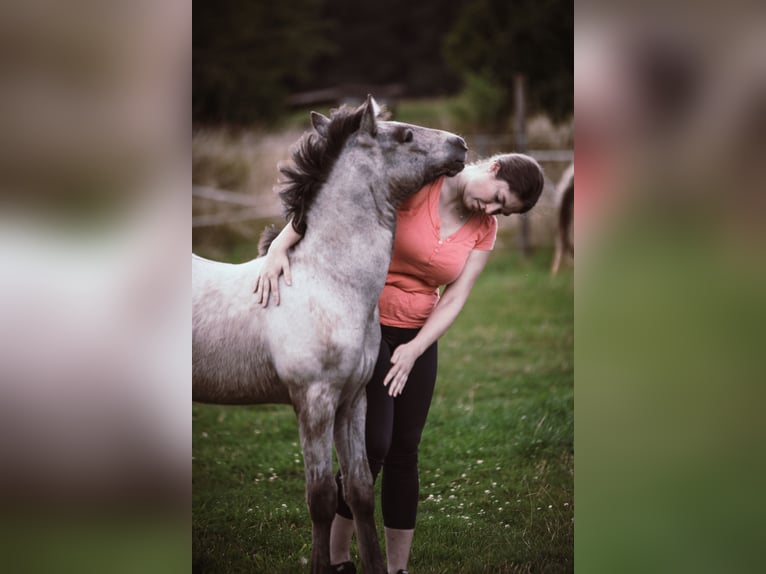 Seeking a tactful rider