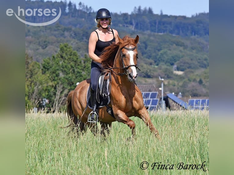 Trainer (m/f) wanted in Wiebelsheim