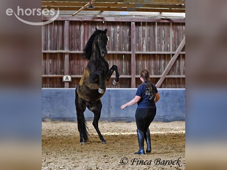 Trainer (m/f) wanted in Wiebelsheim