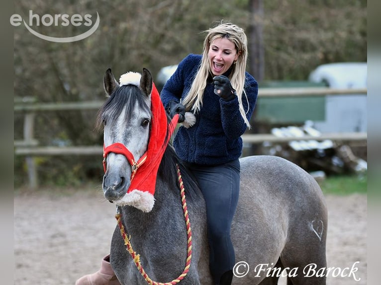 Trainer (m/f) wanted in Wiebelsheim