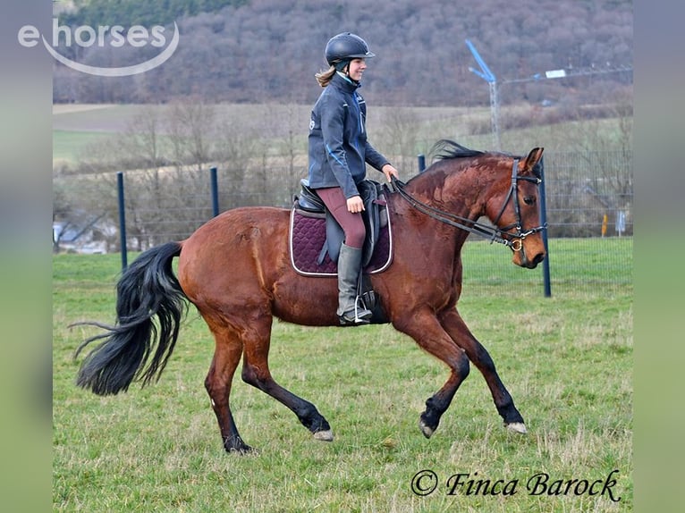 Trainer (m/f) wanted in Wiebelsheim