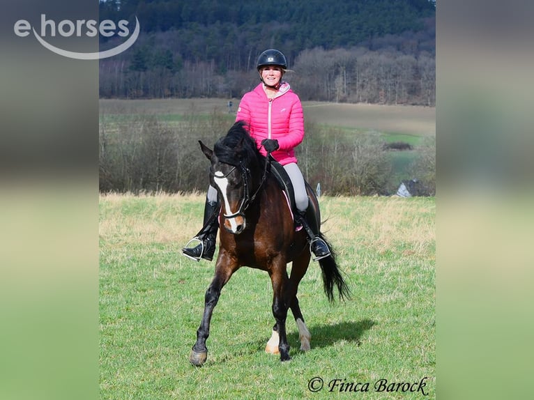 Trainer (m/f) wanted in Wiebelsheim